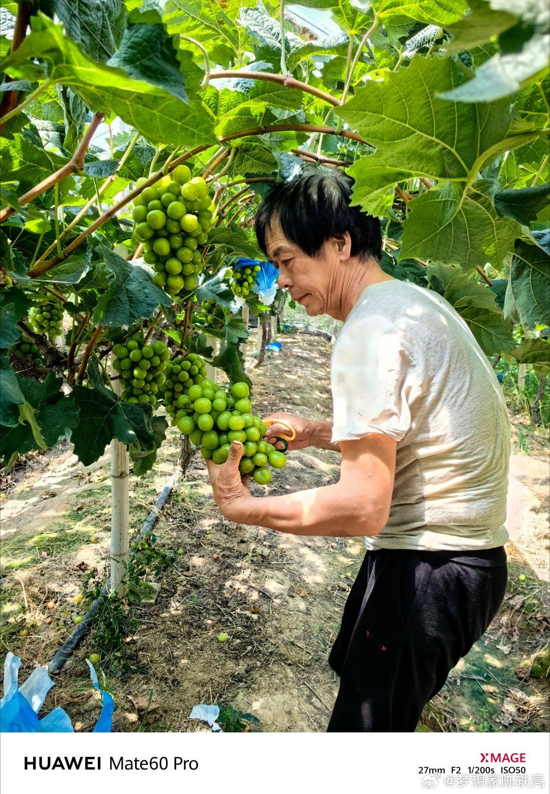 才发现，我大伯的头发都这么白了....岁月是把杀猪刀啊。我们长大了，他们变老了[