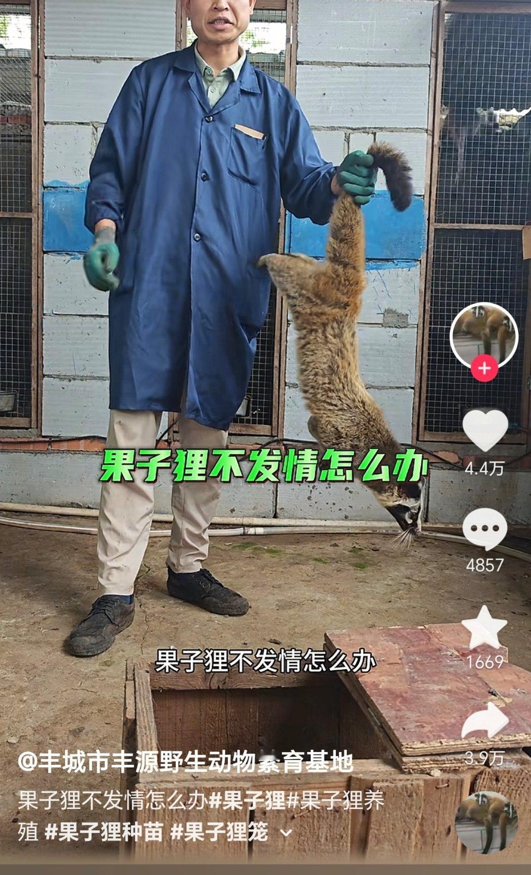上药 