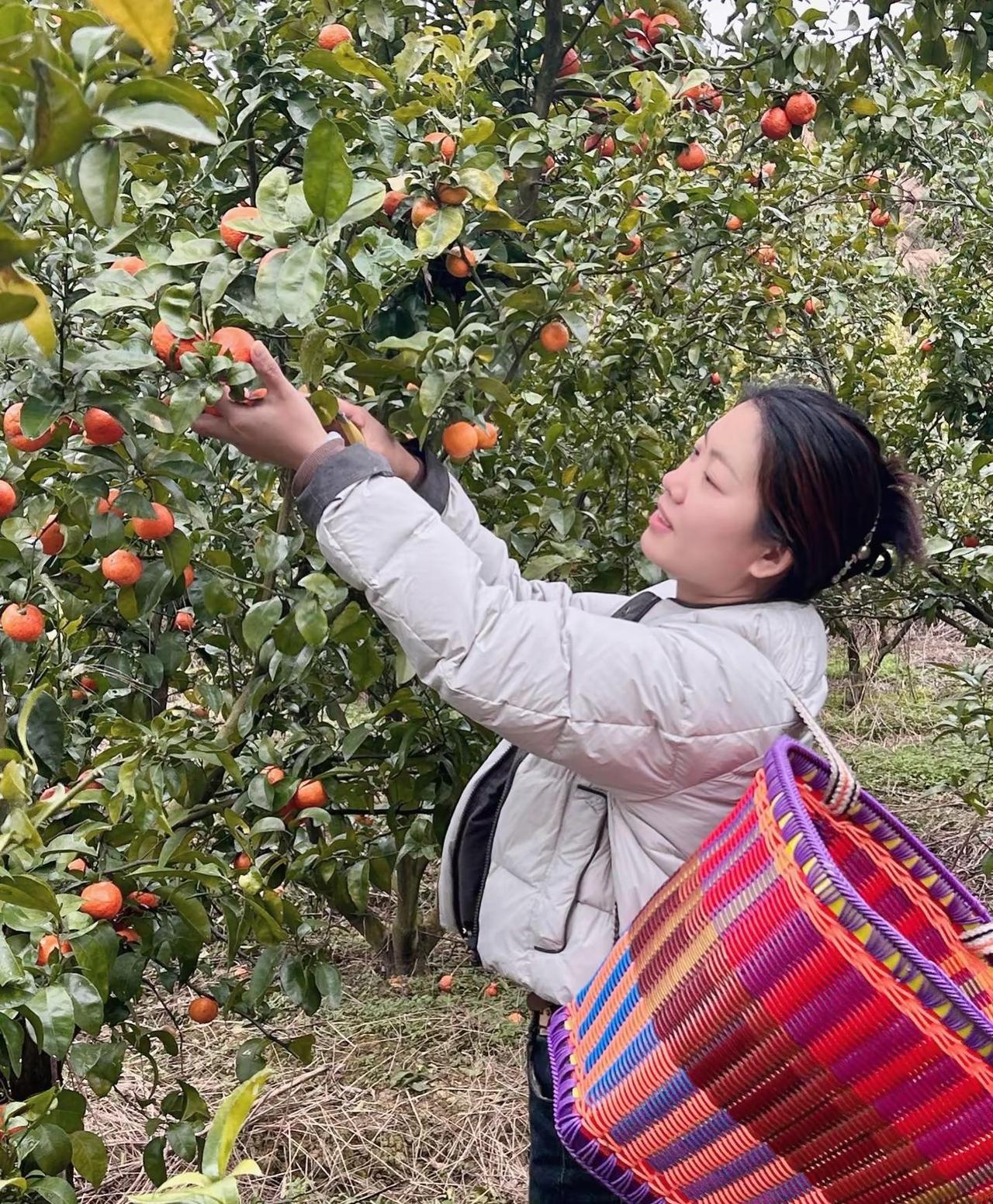 “我想 生活应该是一首慢歌.”：人生是可以慢半拍 再慢半拍的或许 不必每时每刻都