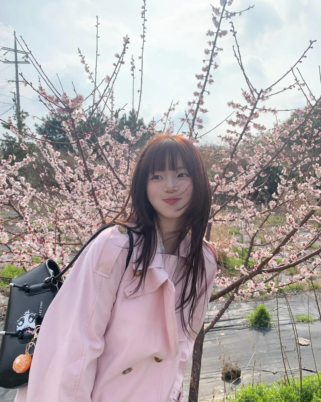 ins博主｜春天是🌸樱花味的~