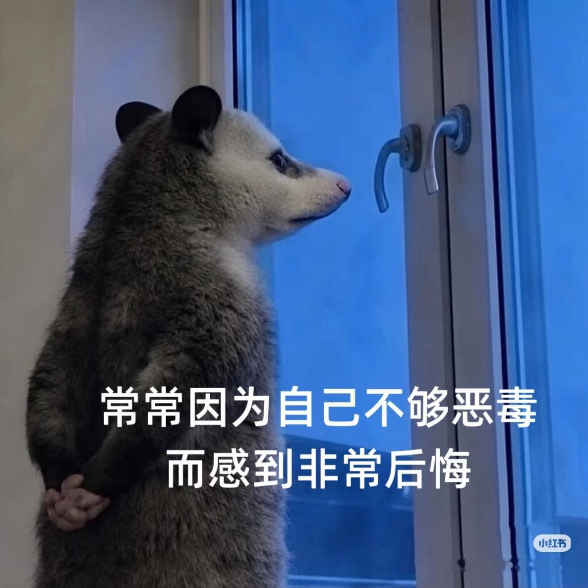 分享图片 