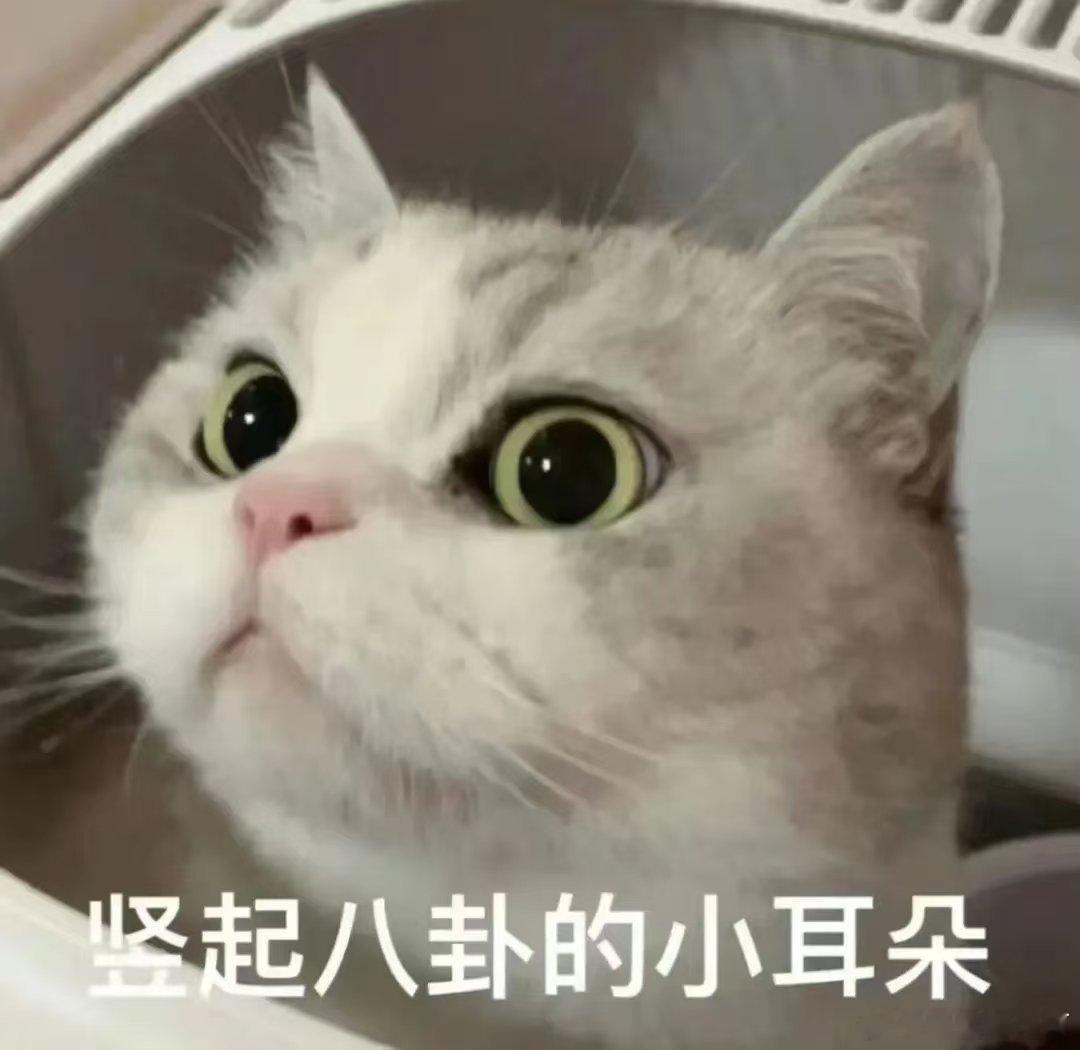 刘涛报菜名式说车 建议把刘涛说车剪成闹钟铃声！这激情澎湃的语速，和我刚提车时每天