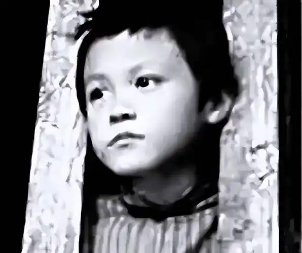 1949年，毛人凤问蒋介石，白公馆关着一个八岁大的小孩，应该如何处理，蒋介石看了