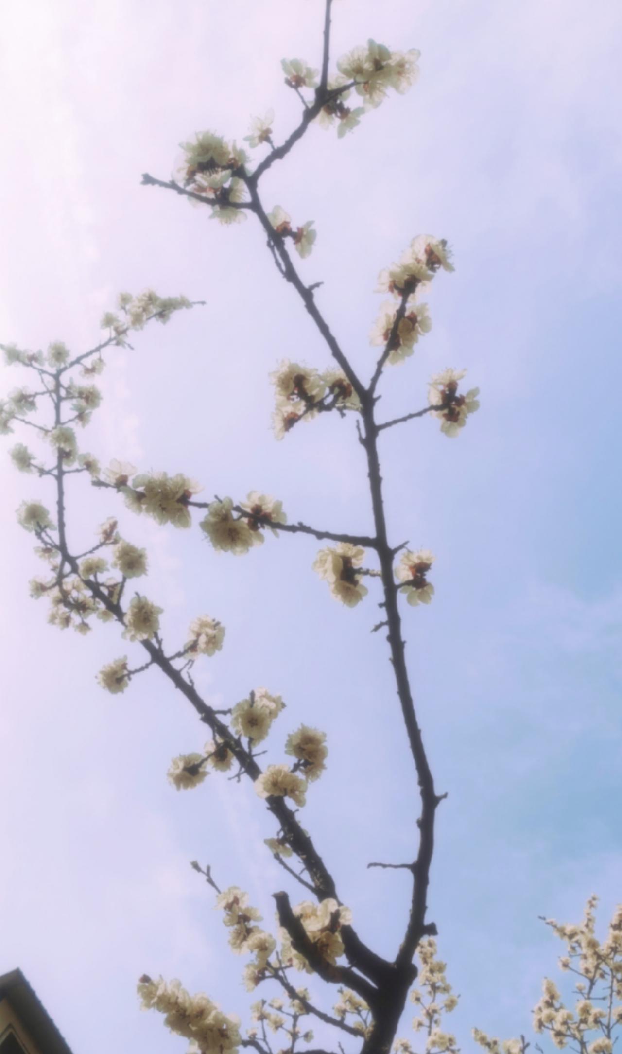 随手拍记录每一天。