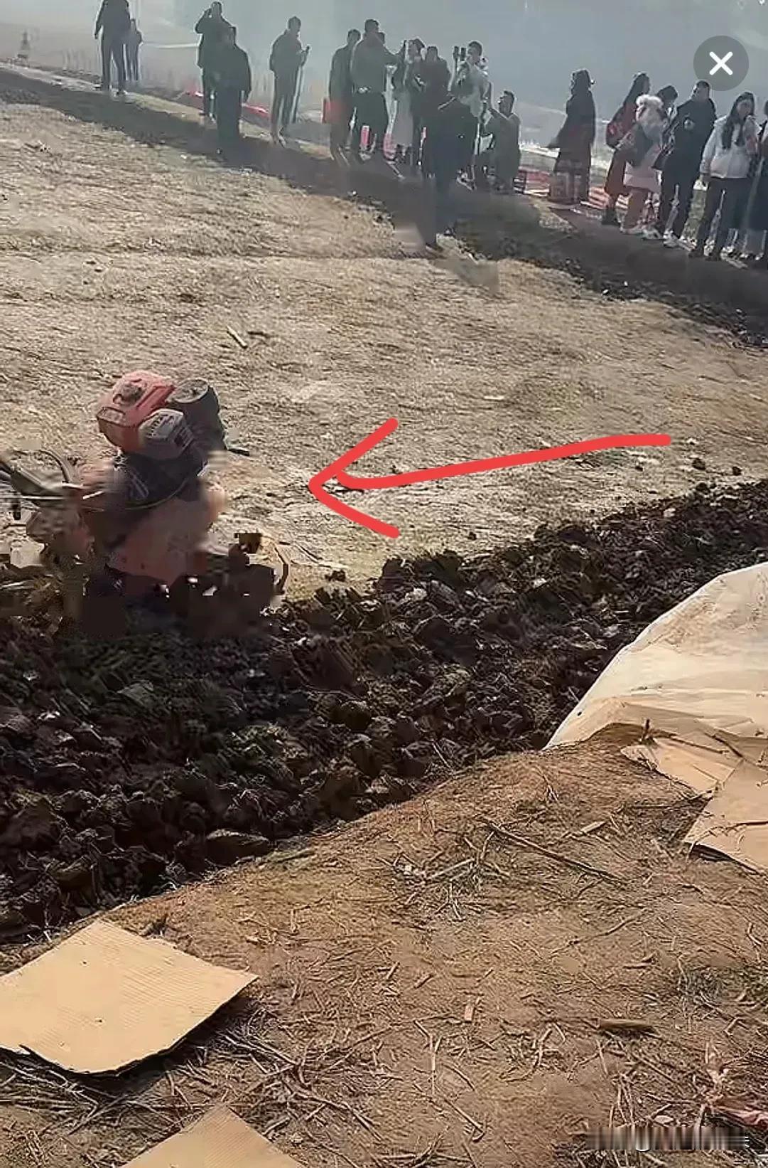 呆呆家的那块地，

终于开动了。

并不是要起高楼，而是那几亩被几万双脚板生生踩