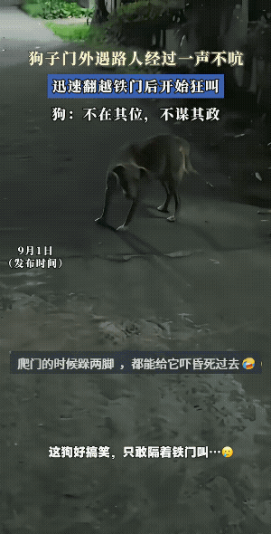 到了工作地点，再定位打卡。进门了就有倚仗了，可以为所欲为的狂吠。外面的人也打不着