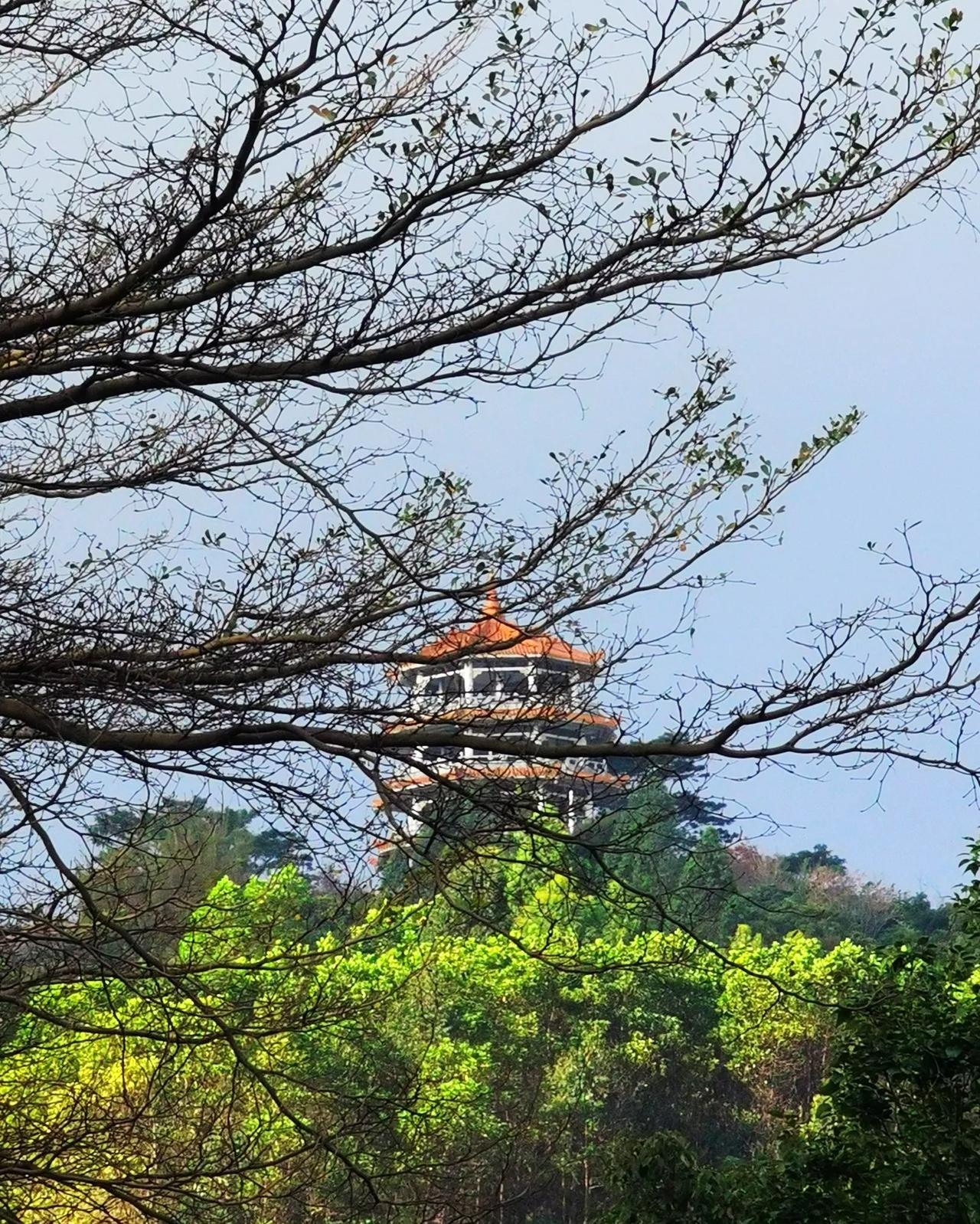 中山天气发疯了！短袖在身，气象台发布了寒冷黄色预警！昨天、今天中山的最高气温28