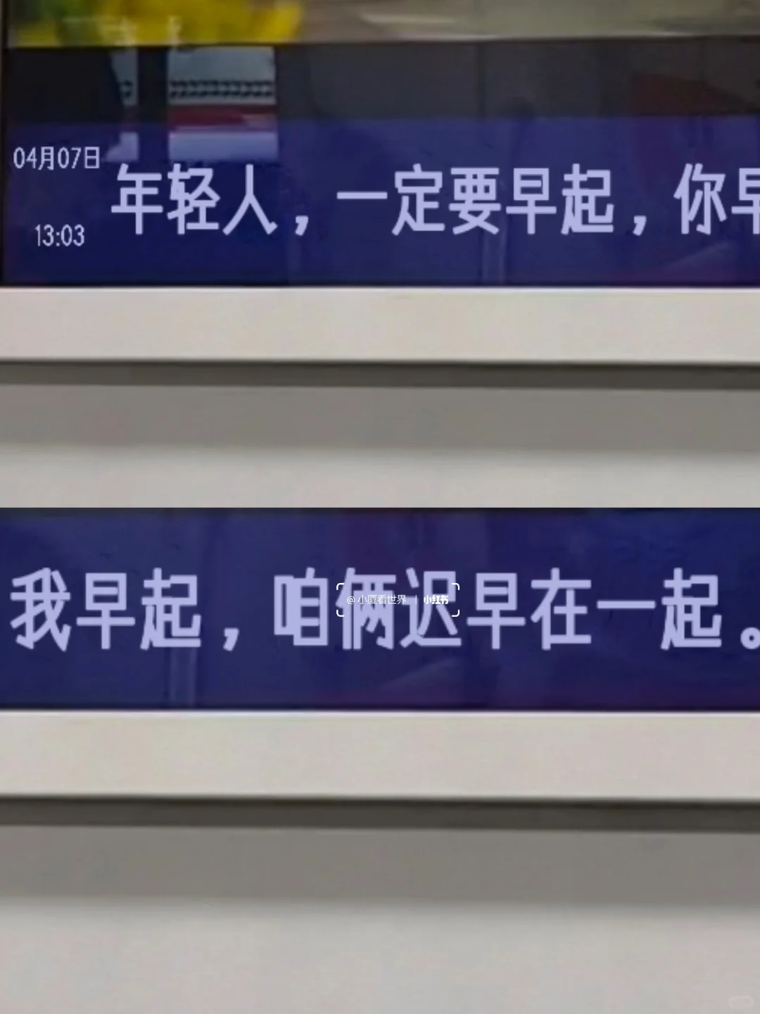 厦门树洞好癫好好笑啊哈哈哈哈哈