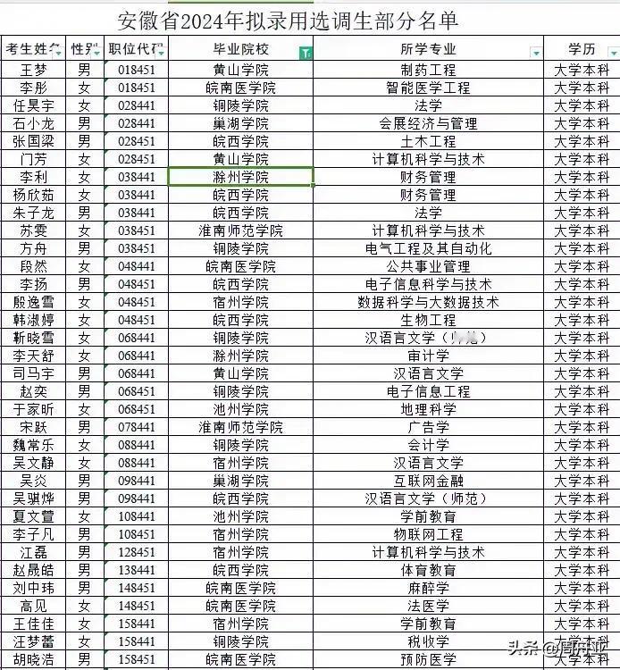 安徽改革开放40年又一大成就：不拘一格用贤才，2024年选调生全部来自本省及周边