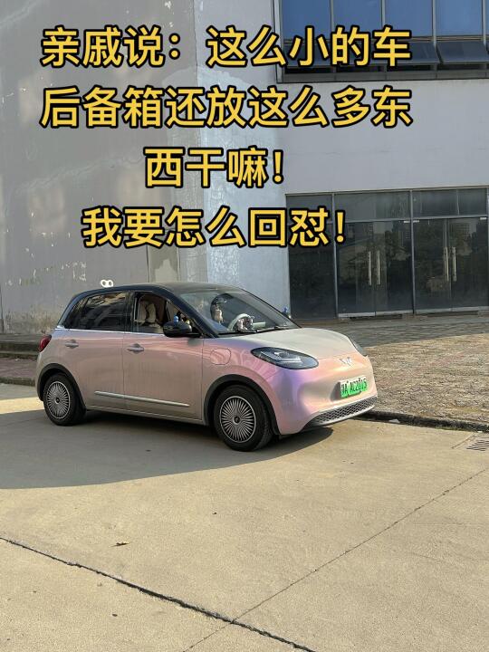 所以我要怎么回怼啊！！😡