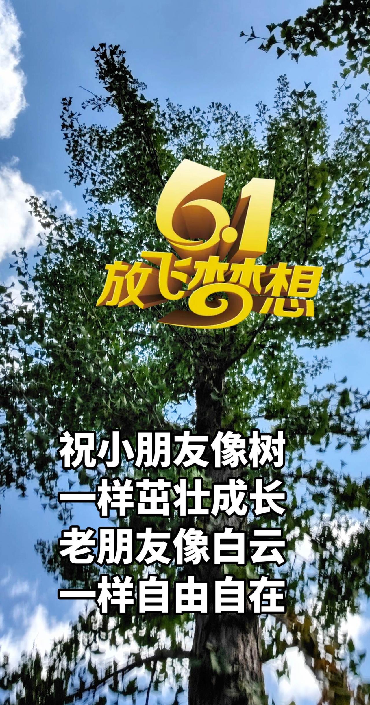真实生活分享计划 树与天空美照 如果你也刚好抬头看树了 蓝天与树的交融如诗如画