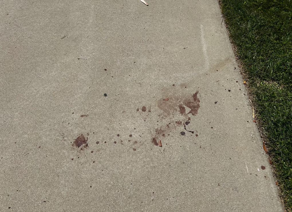 又是针对华人！断电、塞后备箱、警察眼皮底下补一枪：华人老爸死在自家门口，亲女儿一