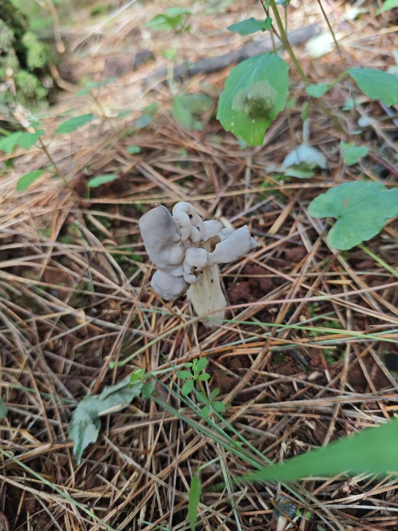 分享一下你随手拍的照片
