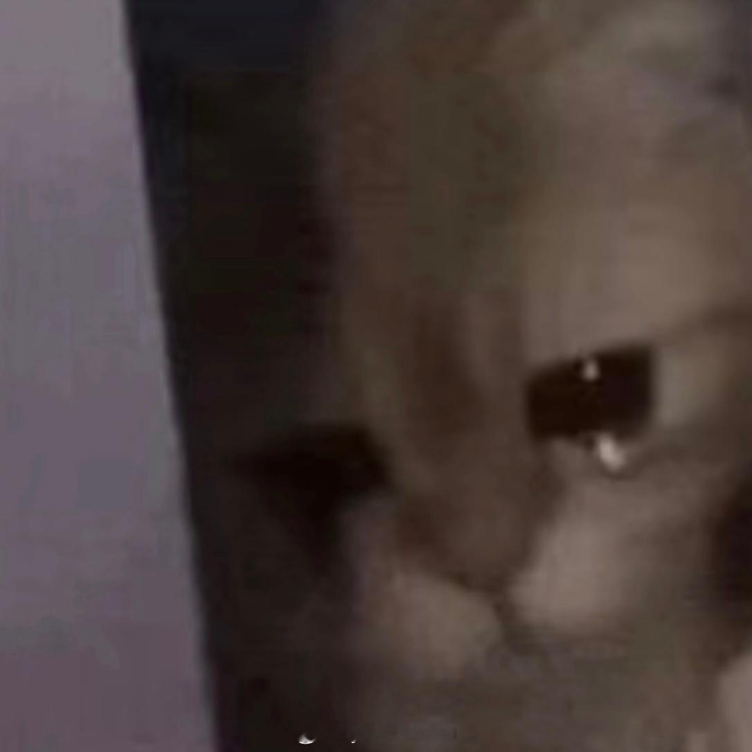 分享图片 ​​​