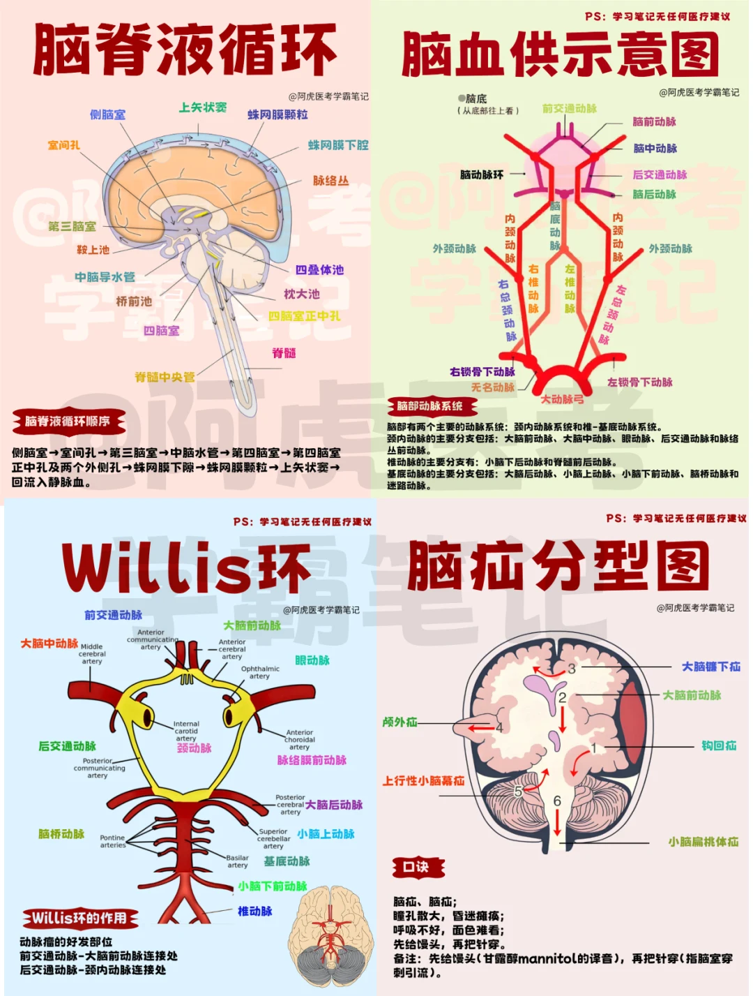 医学生笔记📒｜大脑知识点合集👆