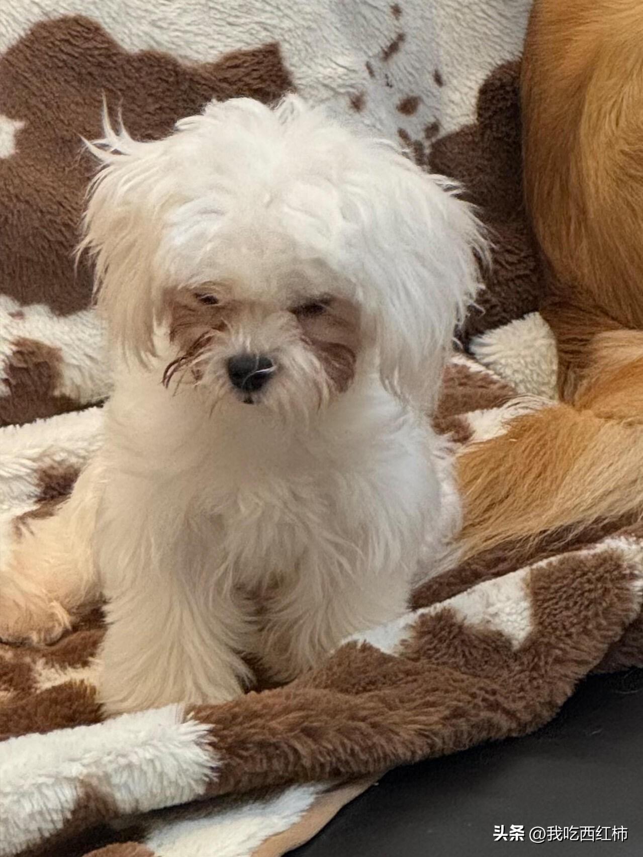 出差一个月，回家天塌了
之前太忙了太忙了，光出差啥也顾不上了，安排我妈和我对象轮