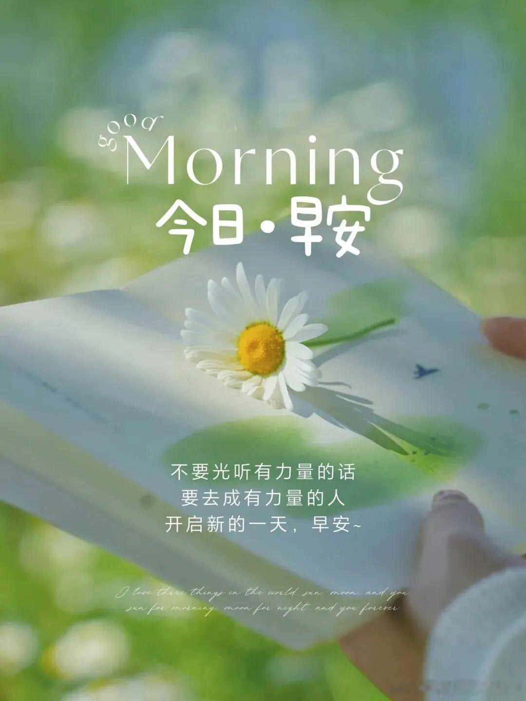 Happy Friday周五是忙碌与闲暇之间的一道微光，一边收藏本周所得，一边照