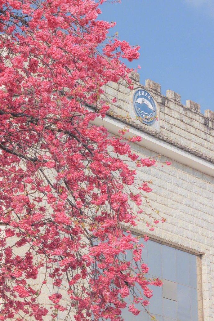 📍大理

浪漫又灿烂的春天如约而至。[惊喜][爱慕]