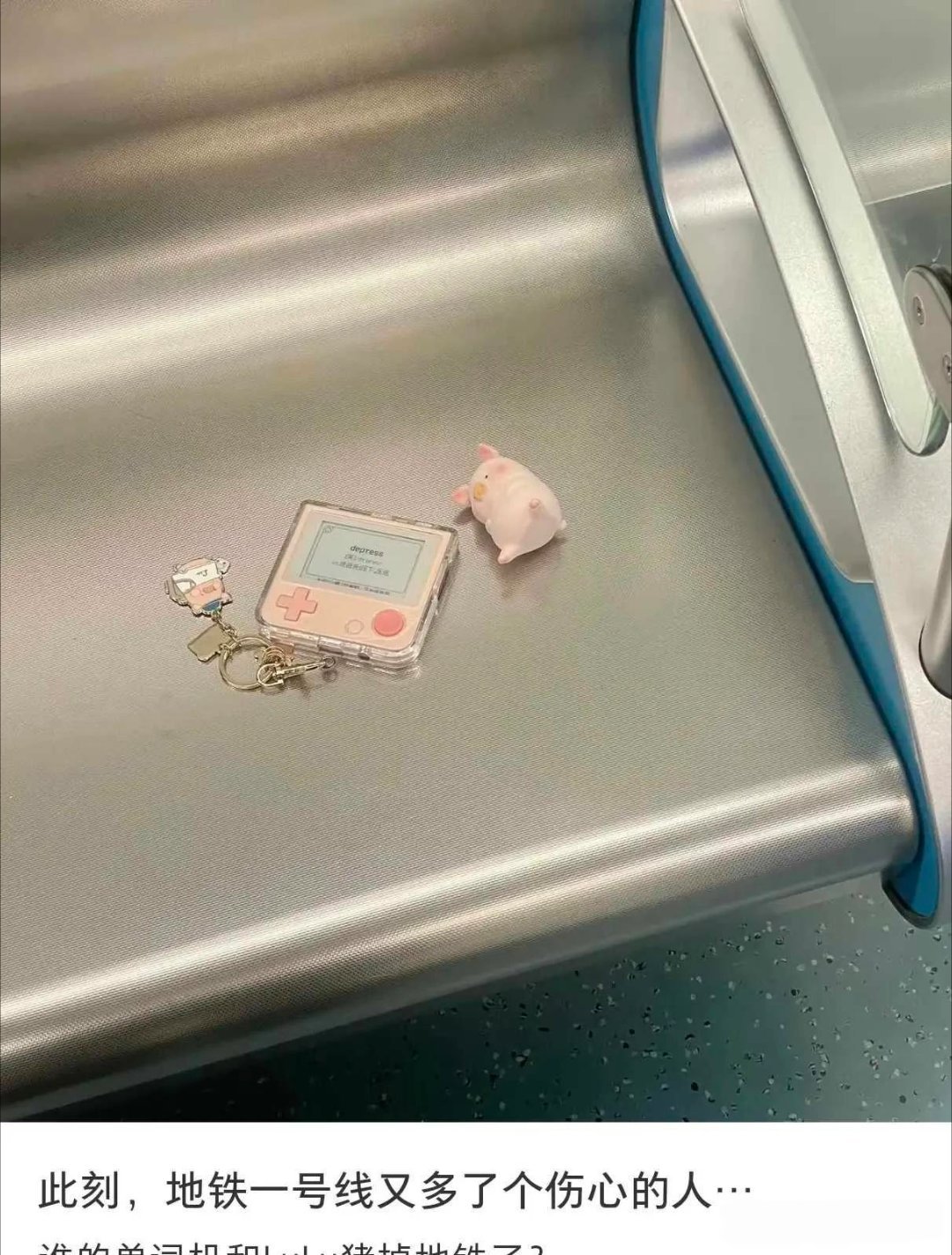 这丢了得哭好几天吧 
