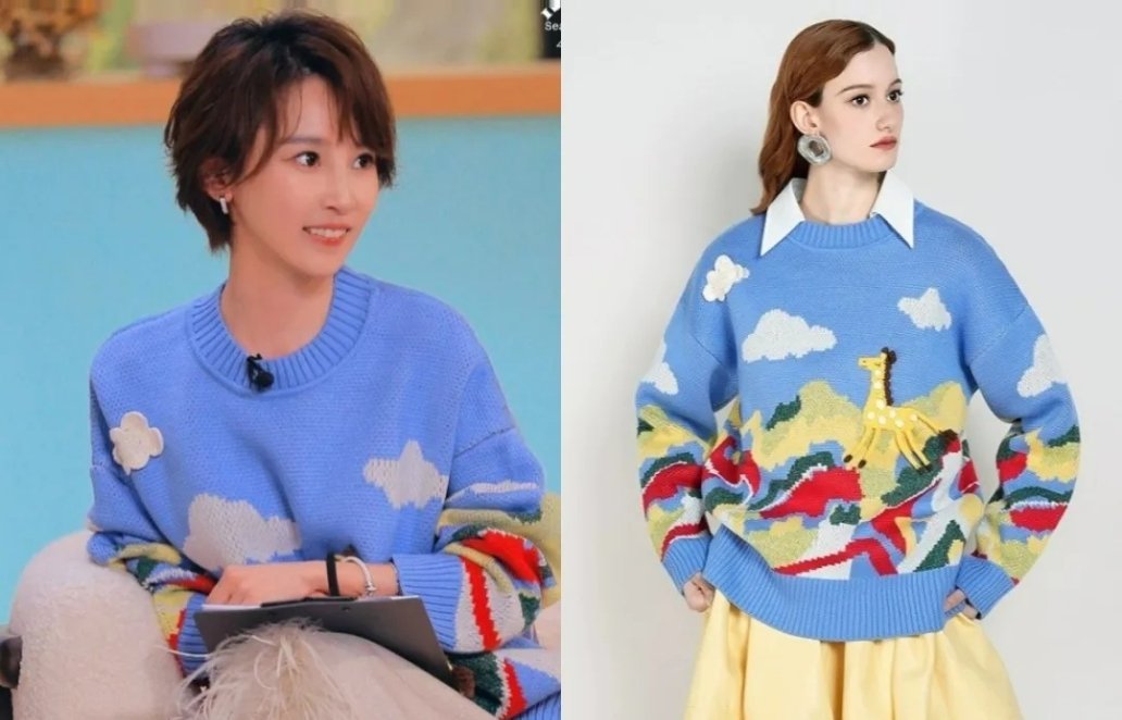 在综艺《半熟恋人4》里，谢楠身穿一件动物提花毛衣出镜，尽显独特魅力。这件毛衣来自