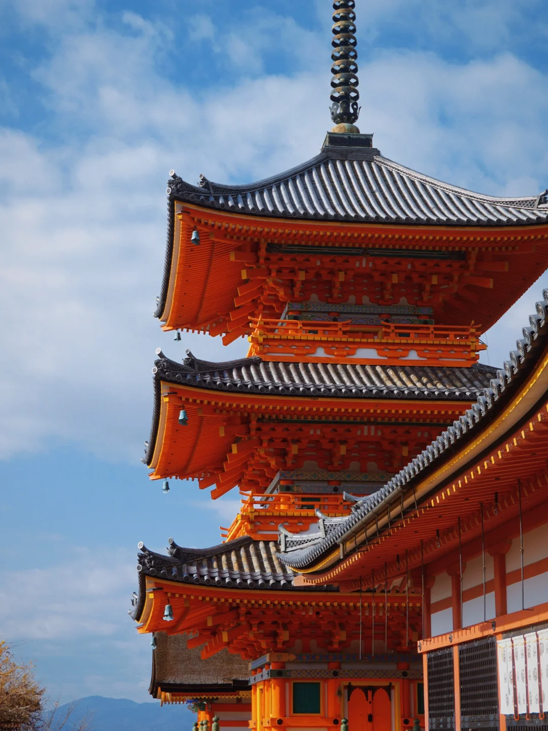 ⛩️Kyoto京都🍵