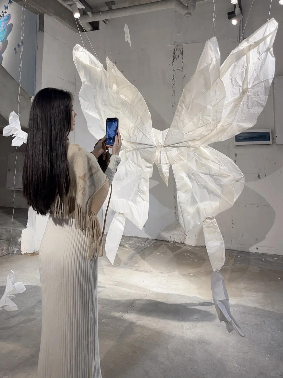 福州烟台山|蝴蝶展🦋