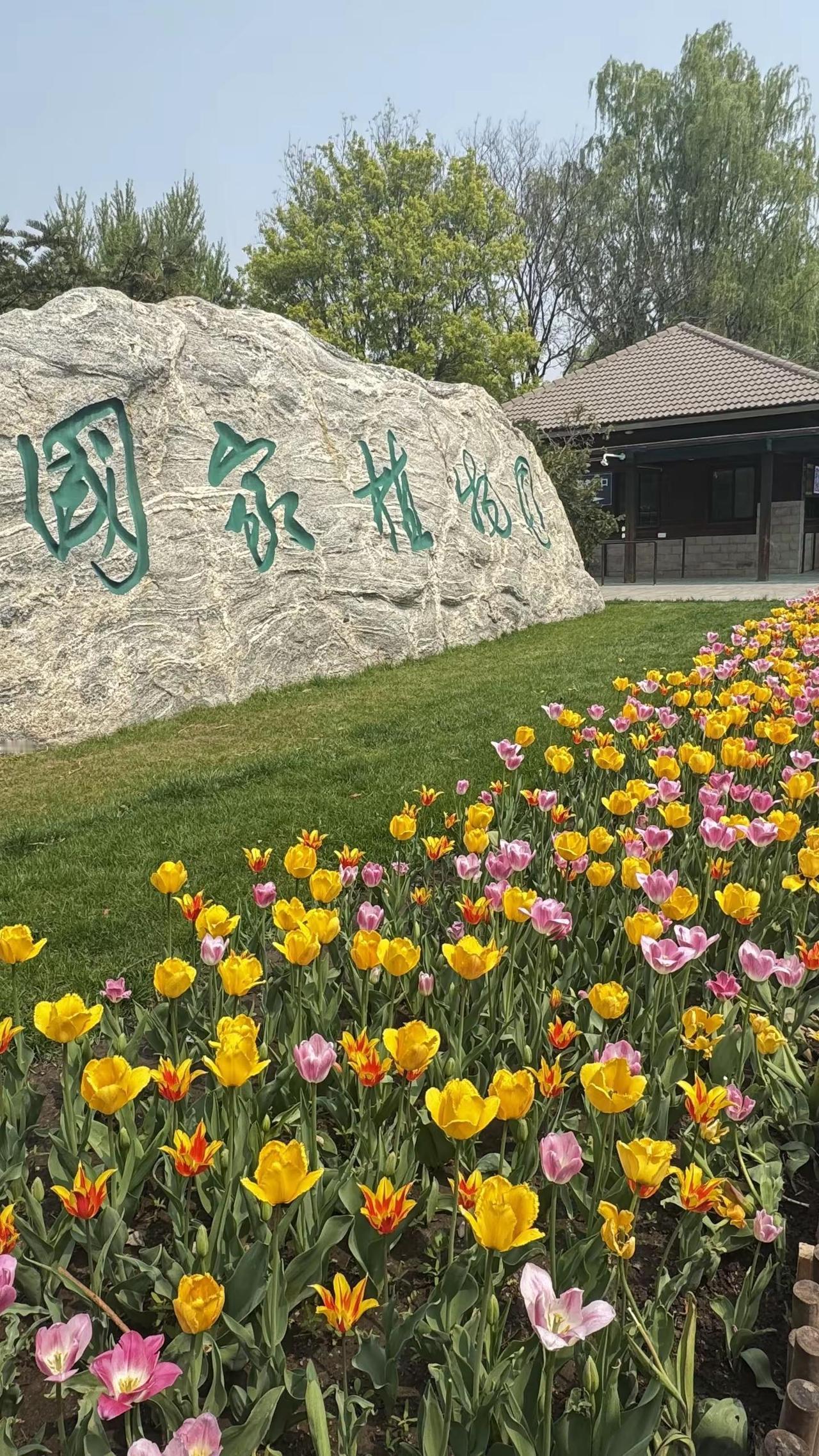 星期三享受大自然 感受春的气息