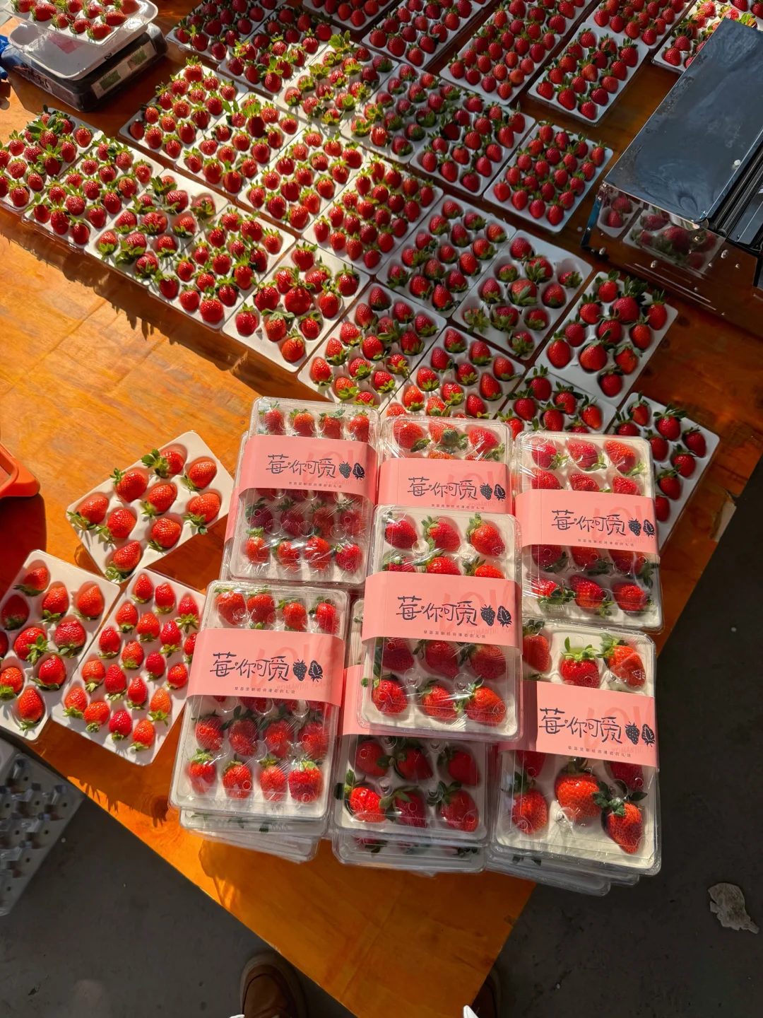 20多一盒的香野草莓，一次吃到爽！