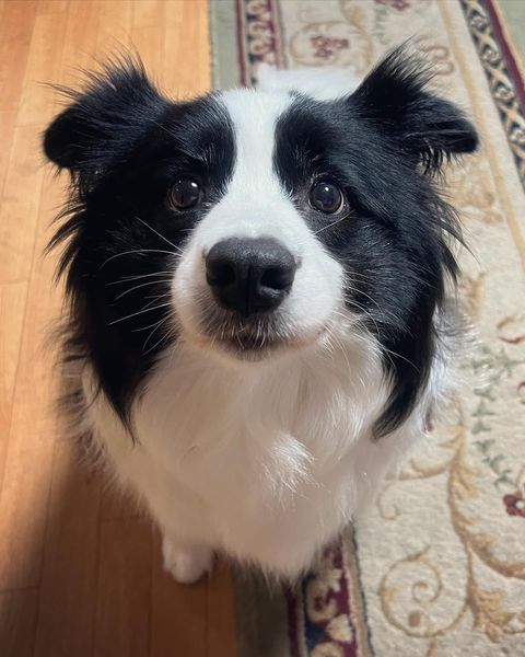 人，有什么不开心的都可以跟我说，我一直在的 