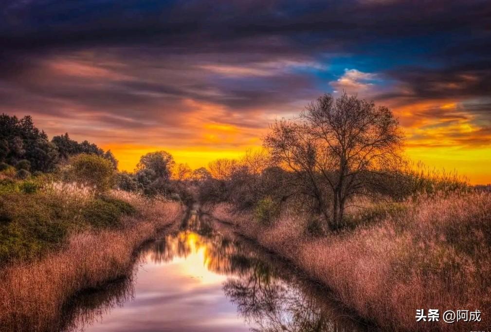 人若想避开情深不寿、强极必辱、慧极必伤，无非守住二字：淡与常。
 
用情宜淡，并