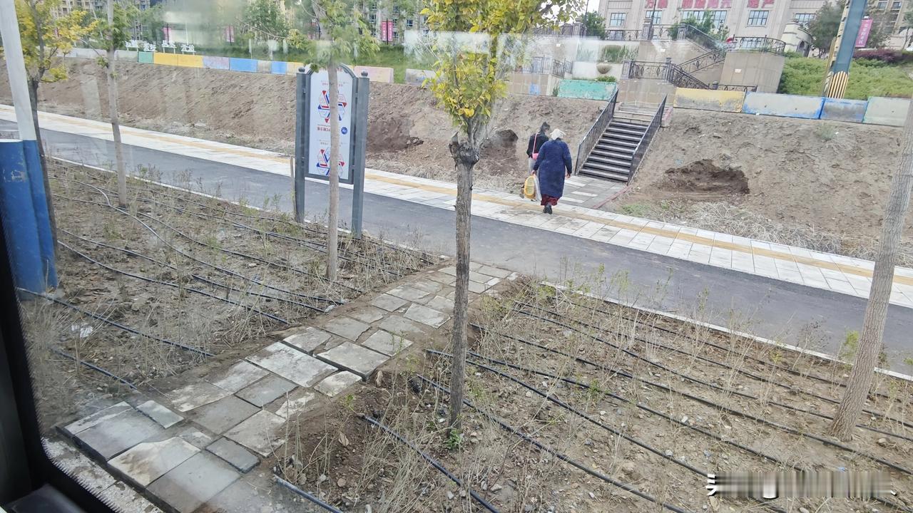 西城阳光小区门口：一条砖块铺出的“临时站”，该管管了

    前两天刚说过西城