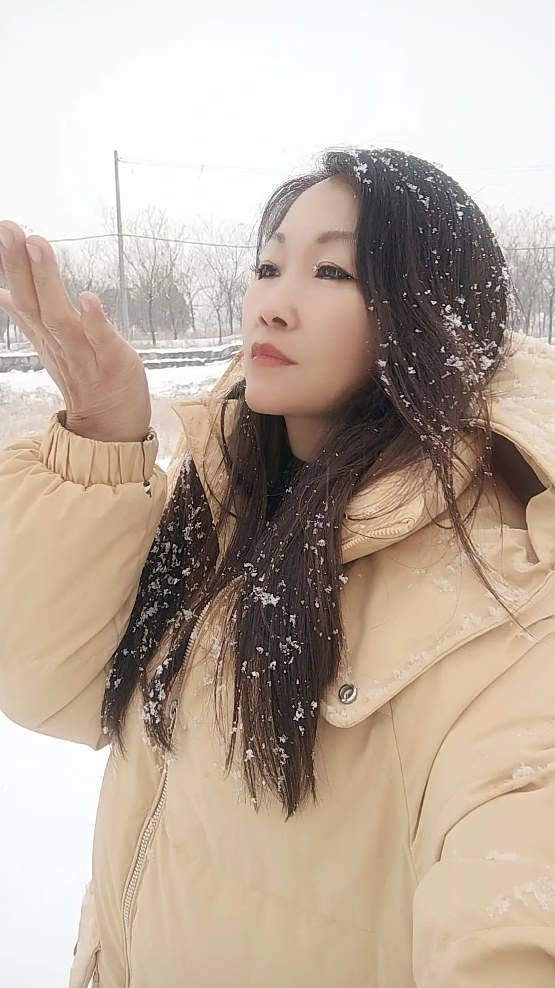 立春了，竟然下雪了。  是冬负了雪，还是雪背叛了冬？ 雪本该是冬的伴侣...