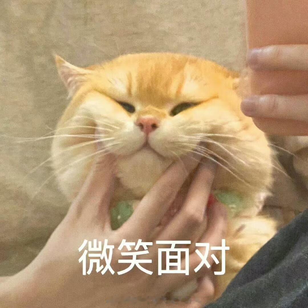 昨晚ADP小非农数据落地属于利好，大饼借着暖风冲高一轮，却始终没能冲破65300
