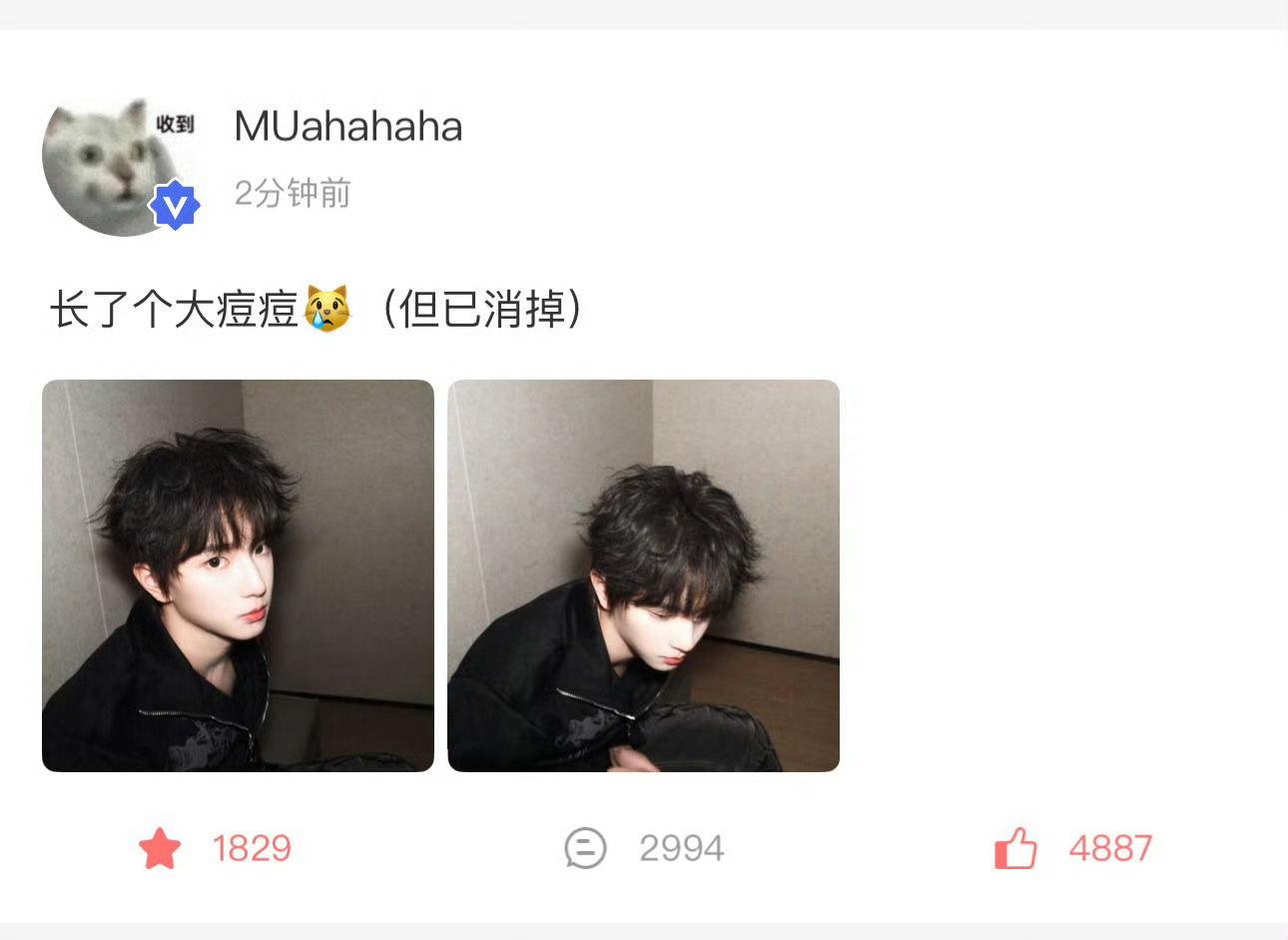 【穆祉丞】穆祉丞是什么漂亮小猫吗🐱🐱