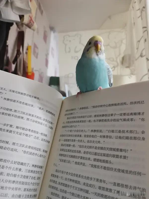 从提问的口气看，提问者对读书有天赋持怀疑态度，甚至内心是否定的，认为不论哪一个孩
