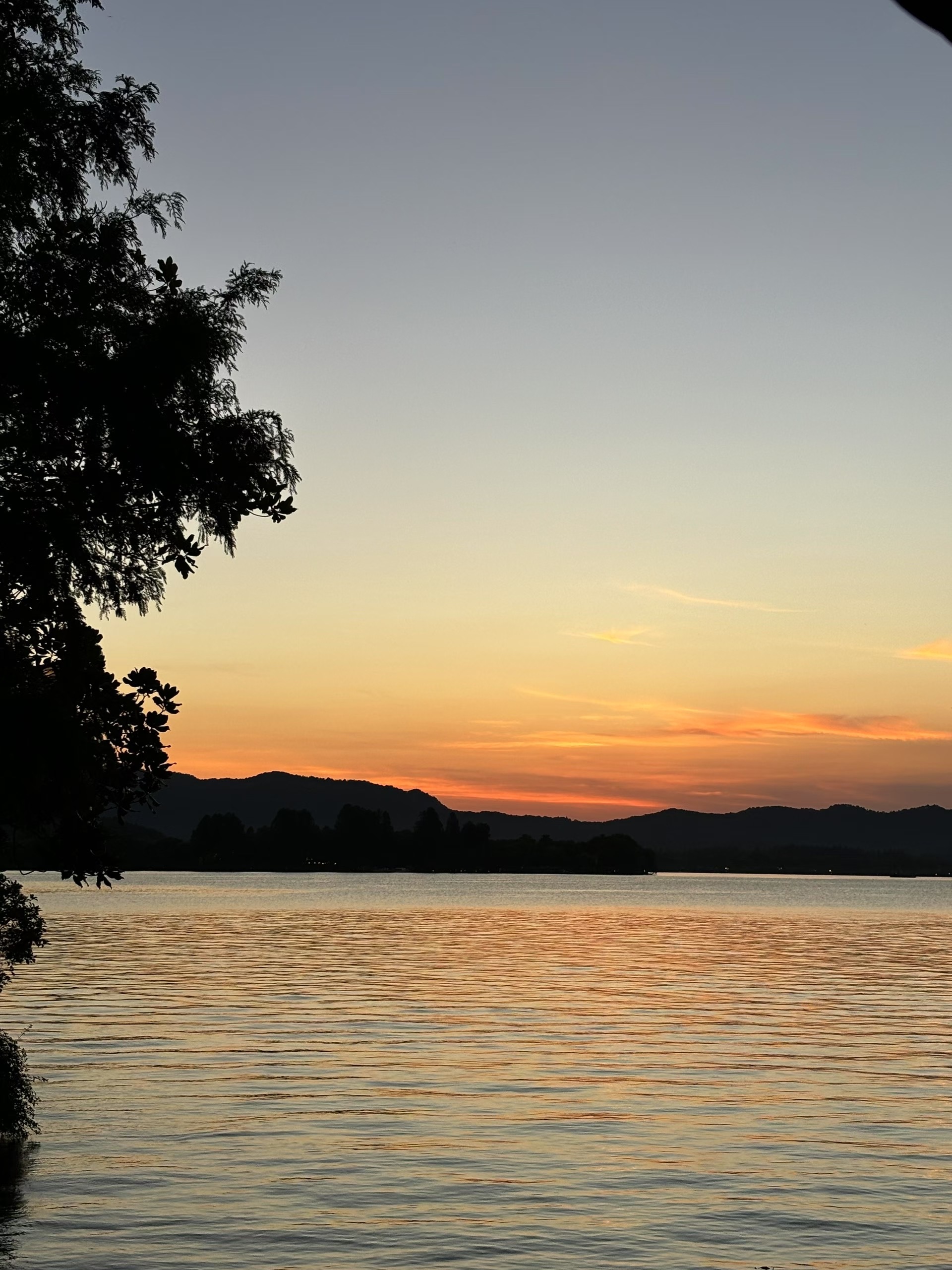 2025年转眼就要翻篇啦，翻了翻这一年发过的动态，不禁笑出来了—零零碎碎的日常攒