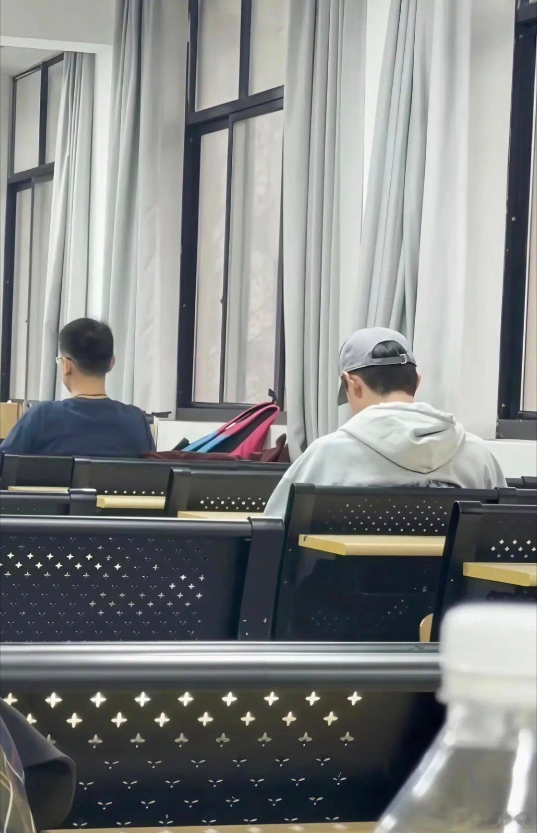 林更新不拍戏去学习 