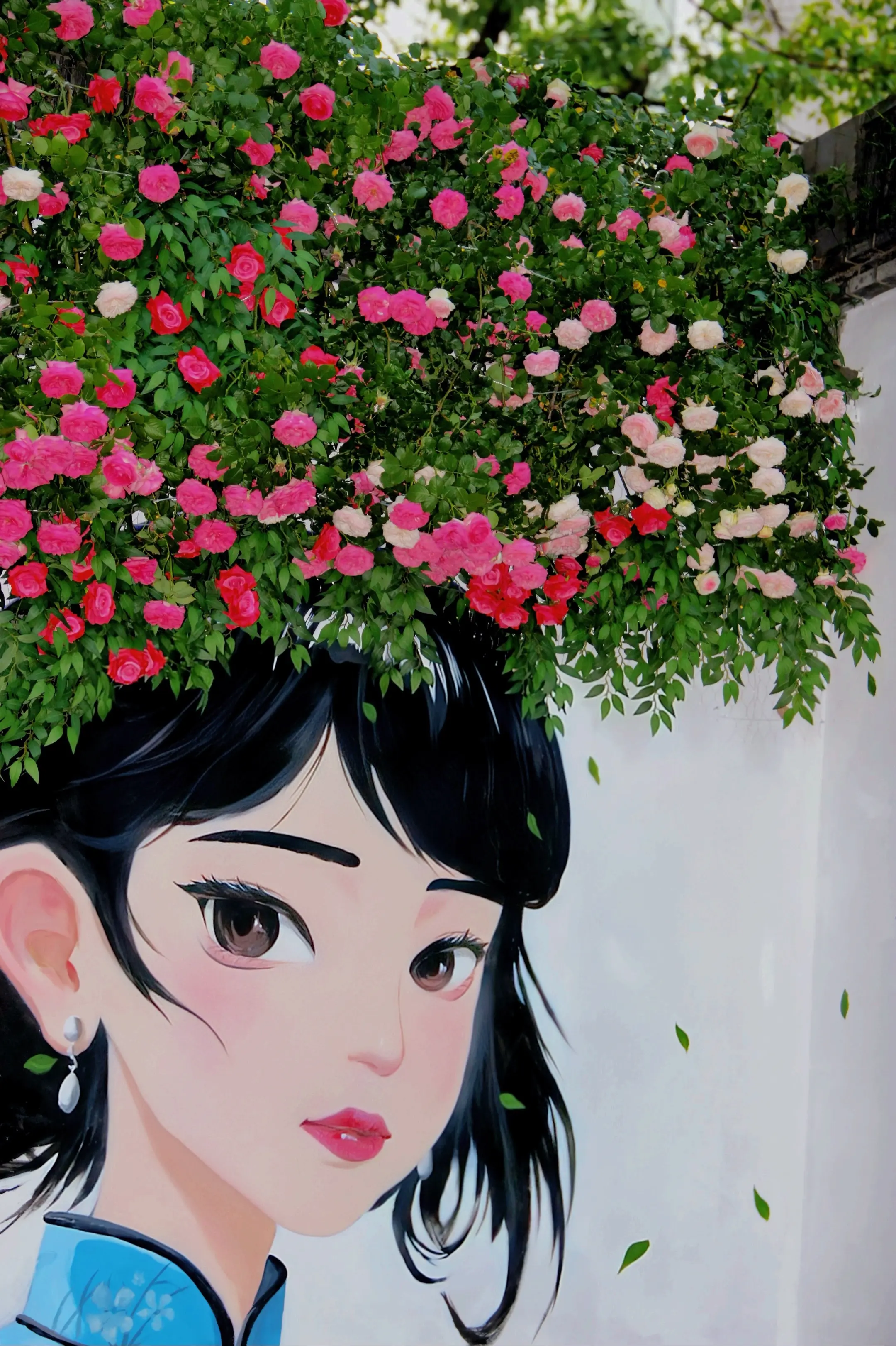 美丽的花朵  玫瑰花影映人美