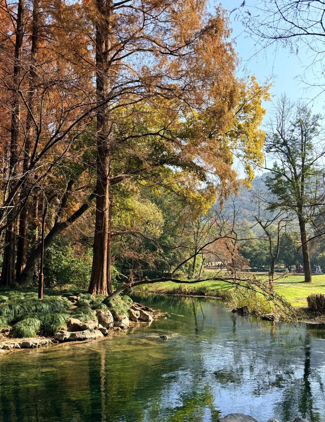 周末去那里吸氧呢❗️
看了秋日的太子湾，更期待春天开满郁金香的太子湾
招募爱户外