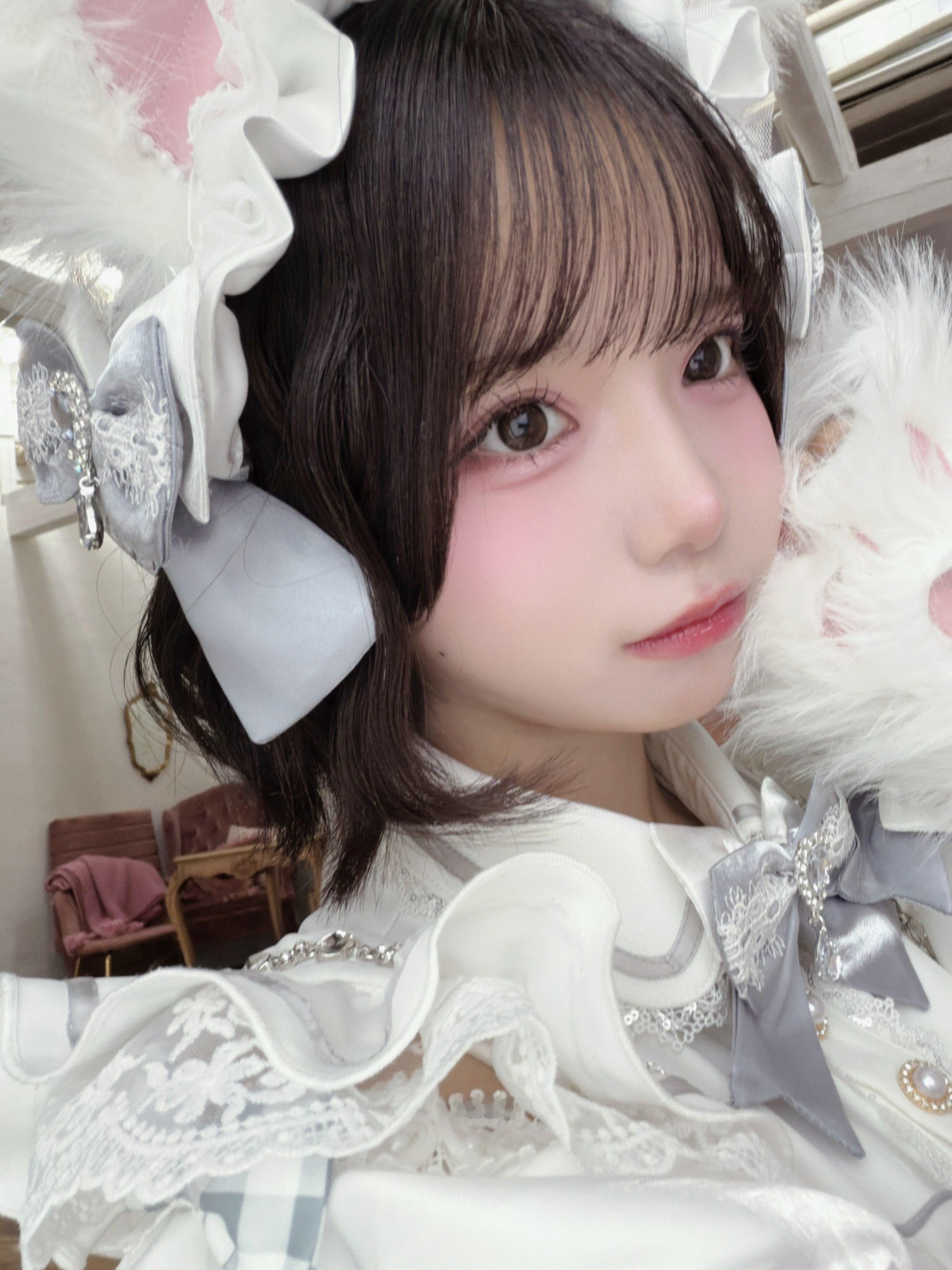 あいす：「猫猫好多𓏲𓎨你喜欢第几张？🐾🤍」あいす【iLiFE! / i-
