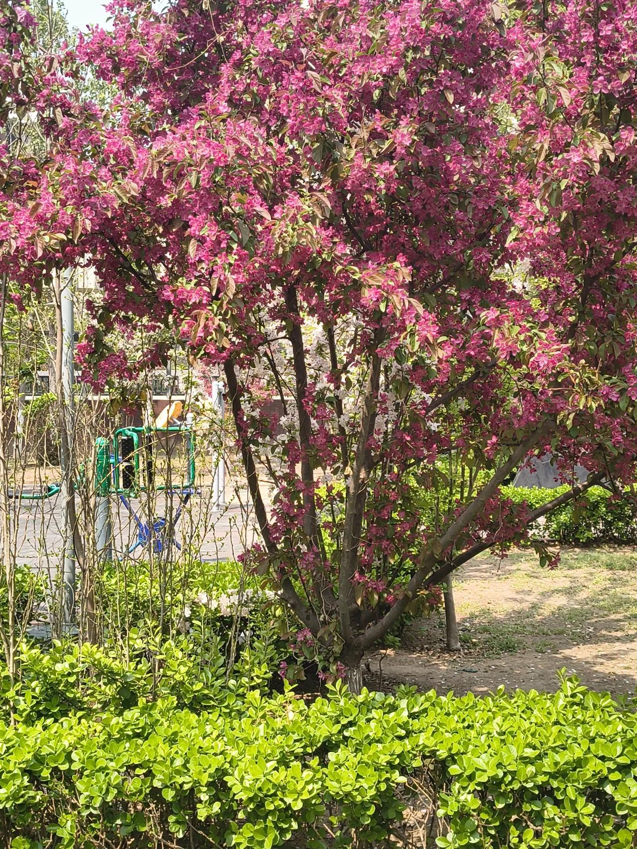 小区有个老爷子，是上个世纪60年代的大学生。学的是社会学，还没毕业就被学校派到云