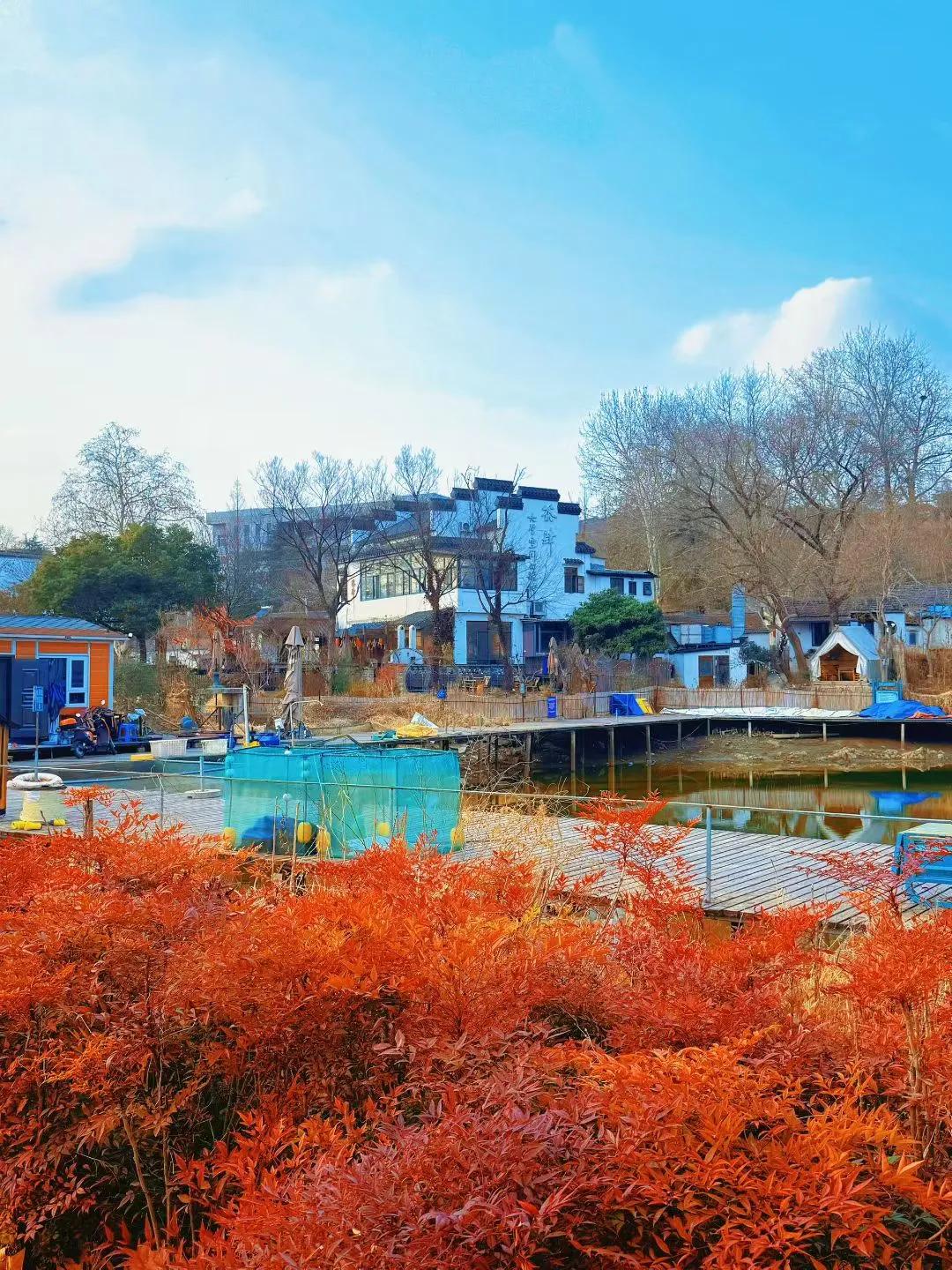 记事篇（顾焕章）：春到桦树村！

  今日天气晴好，阳光明媚，万物舒展，余及家人