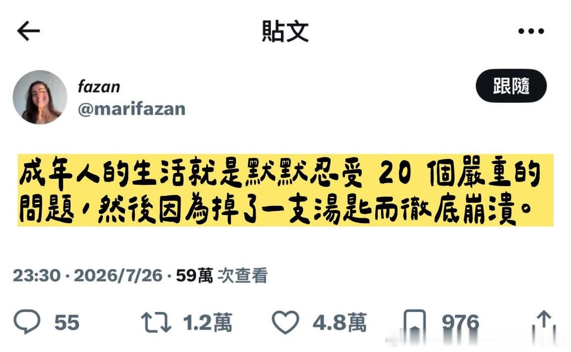成年人的生活就是默默忍受 20 个严重的问题，然后因为掉了一支汤匙而彻底崩溃情感
