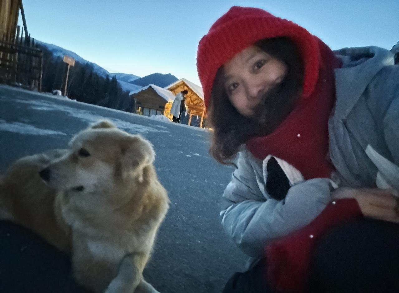 新疆的动物也很「大」，特别是狗子，都是大大只憨憨的，很亲人，一路上我认识了很多「