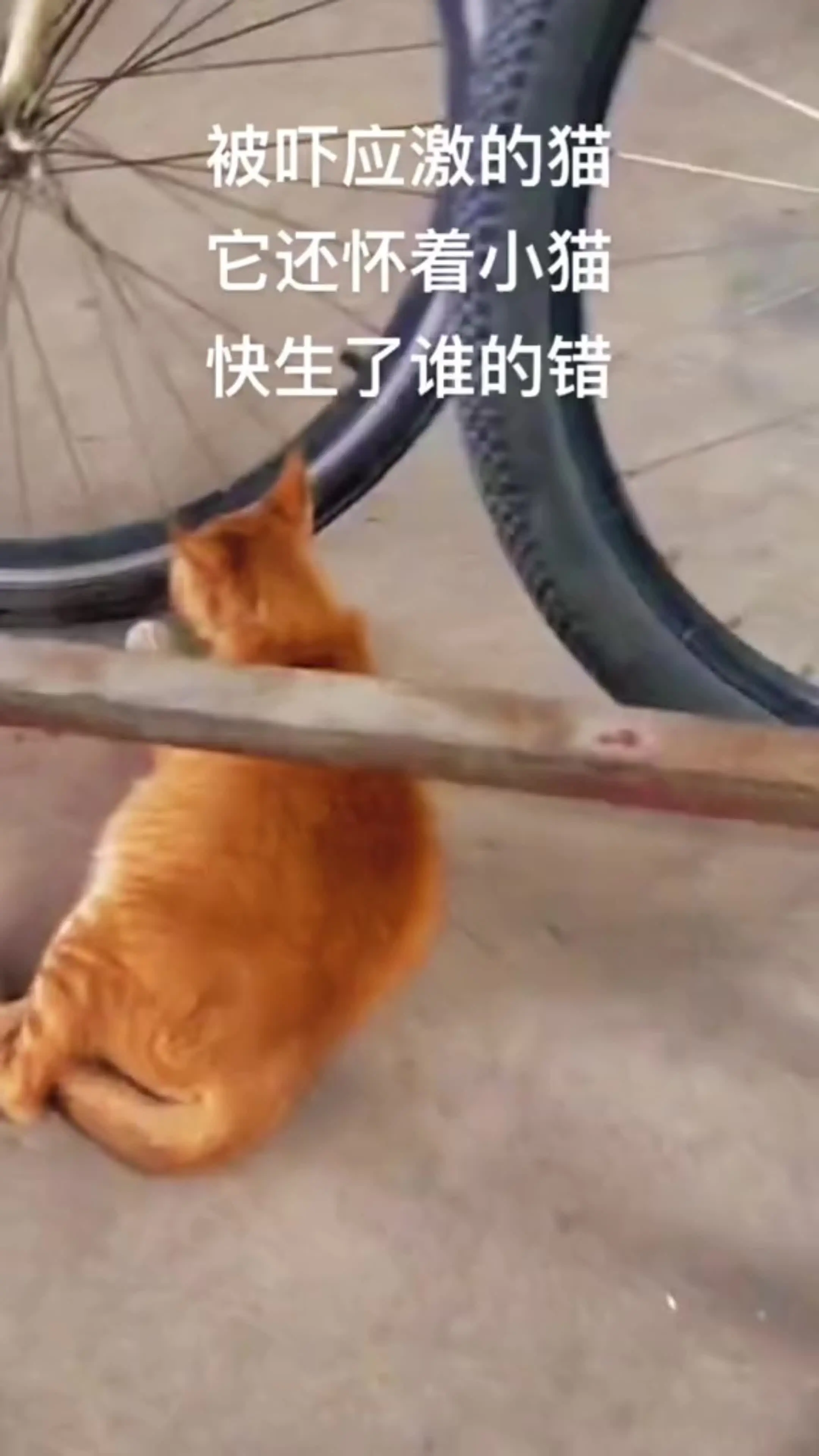 你