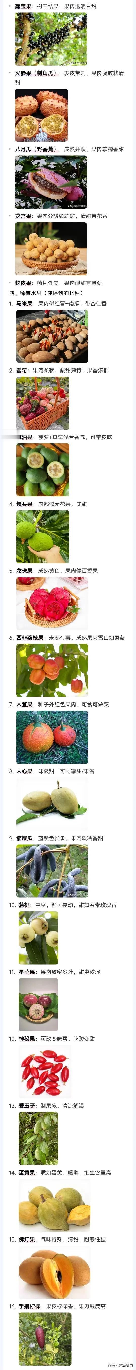 小众水果（市面少见)市面上常见的水果就那么几种，其实还有不少小众水果等着我们去尝