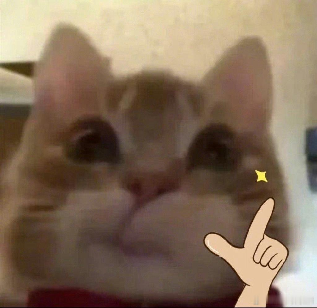 #70岁老人为看欧洲杯每天4点起床#这老人真的让我们这年轻人都为之折服了啊，真太