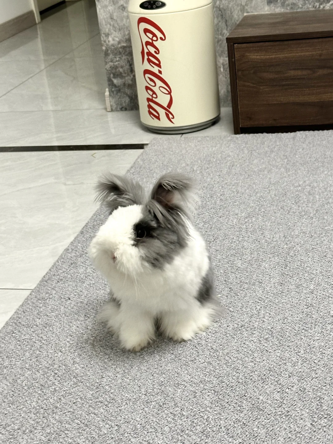 他会对着我眨眼唉