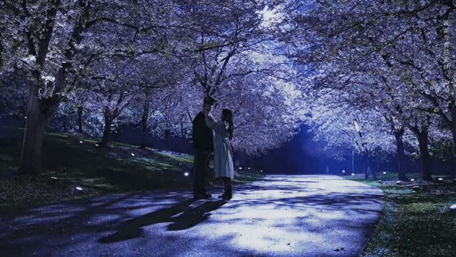 轧戏也要12月就播了吗？这部好快感觉杀青没多久 猴➕饼必爆 