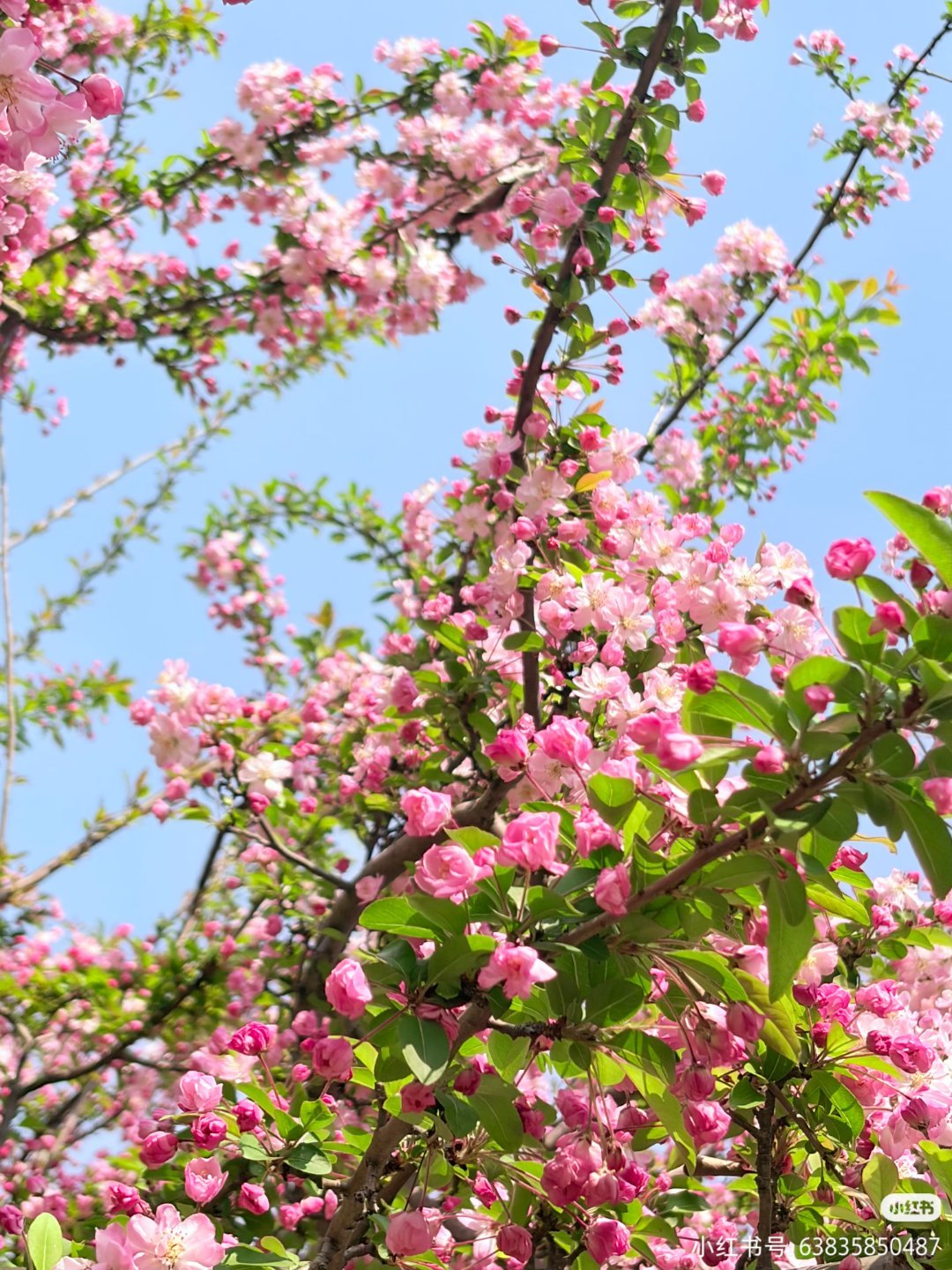 确诊一到春天就心动综合症 有没有同感？阳光一暖，骨头缝里那股懒劲儿自己跑了。不是
